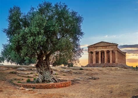 2024 Agrigento Valley of the Temples and Villa 